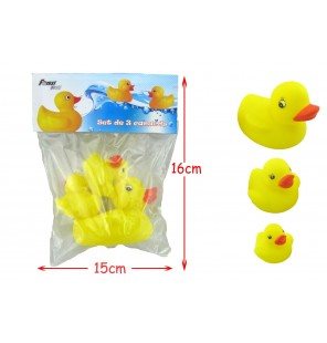 SET 3 CANARDS