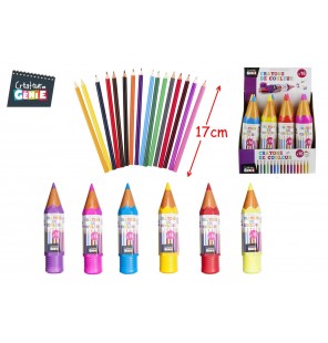 TROUSSE CRAYONS DE COULEUR X 16