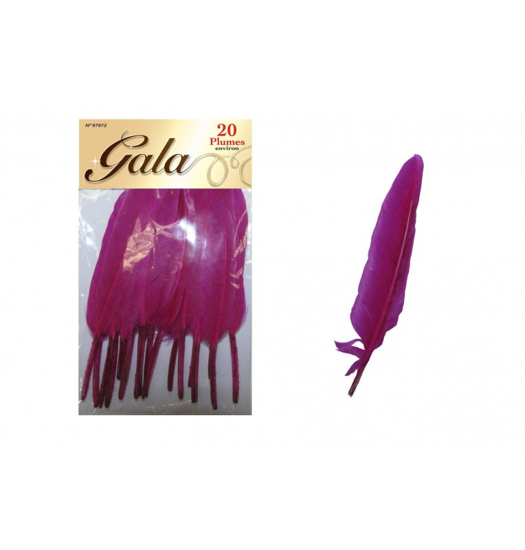 20 PLUMES FUSCHIA 20 PLUMES FUSCHIA