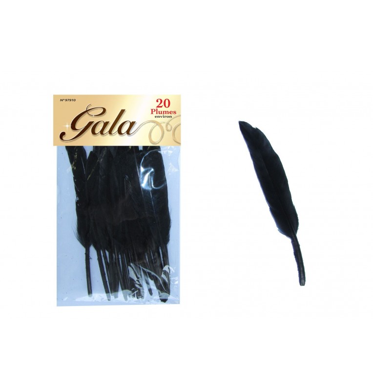20 PLUMES NOIRES 20 PLUMES NOIRES