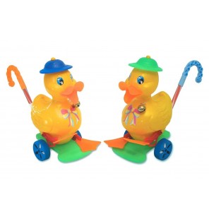 ROULEUR CANARD LONG