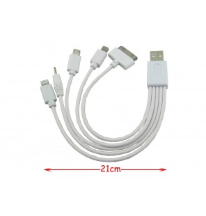 CABLE USB 5 EN 1