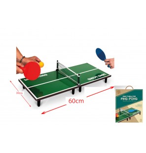 MINI TABLE DE PING PONG