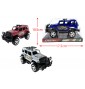 VOITURE 4X4 POLICE 3...