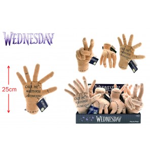 PELUCHE MAIN WEDNESDAY 3...